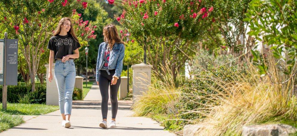 Students walking on campus during the spring talking 